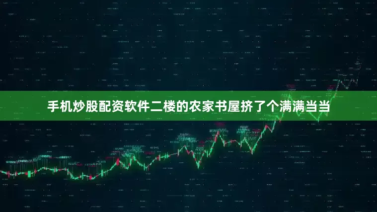 手机炒股配资软件二楼的农家书屋挤了个满满当当